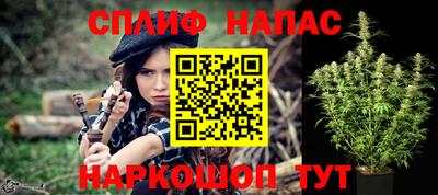крисы Моздок